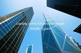 玻璃狗 自动门玻璃锁软件开发的理想之选