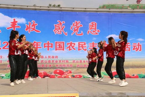 武山县文化馆 文艺盛宴庆丰收 教育咨询惠民生